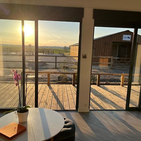 Petit Chalet Au Coeur De La Foret Proche Disney La Houssaye-en-Brie Ngoại thất bức ảnh